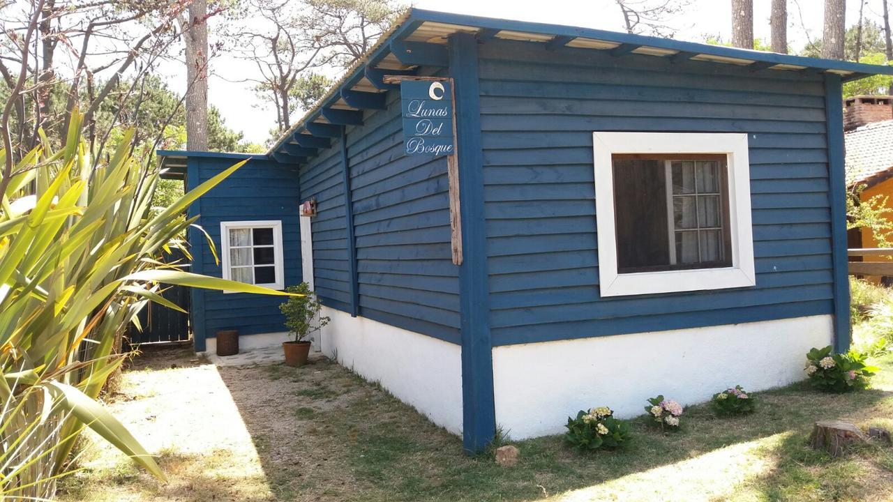 Lunas Del Bosque Cabana Y Apartamento En Suite La Paloma Exterior photo